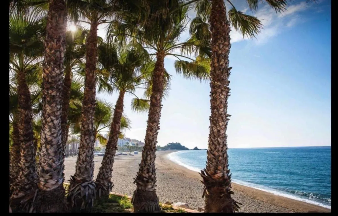 Apartamento 2 Dormitorios Frente Al Mar location